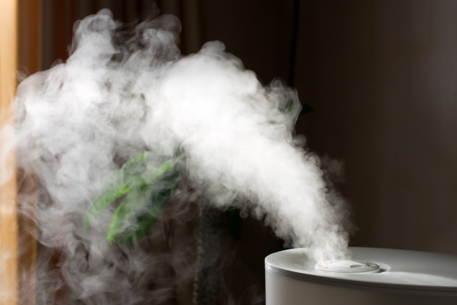 Humidifier spreading steam into the living room