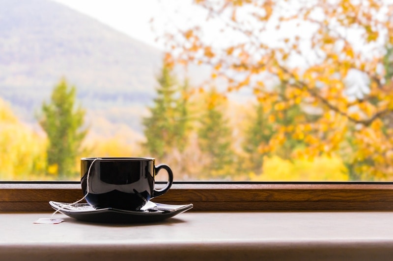 A cup of tea in front of a window with autumn.