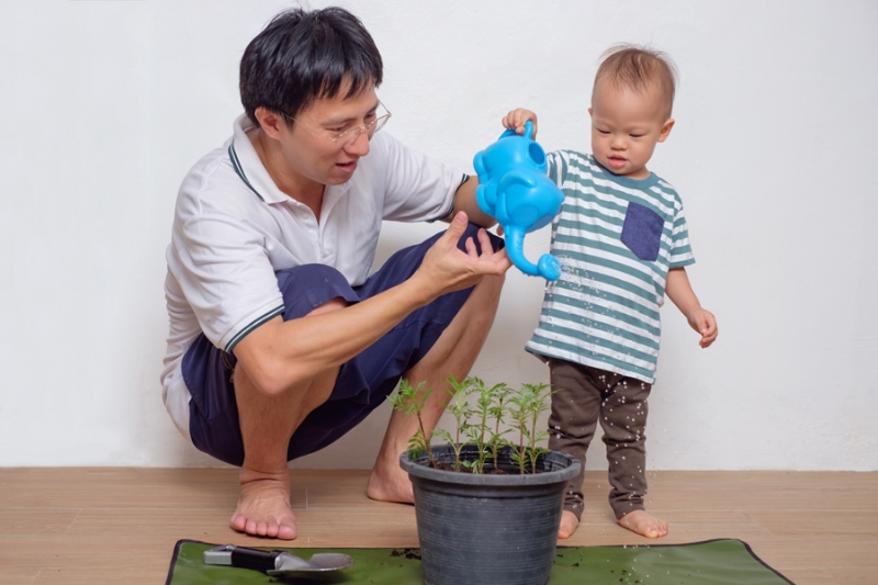 5 Ways to Improve Your Indoor Air Quality - Smiling Middle age asian father teaching his cute little asian 18 months / 1 year old toddler baby boy child about plants at home / apartment in the urban city, they watering plant from watering can.