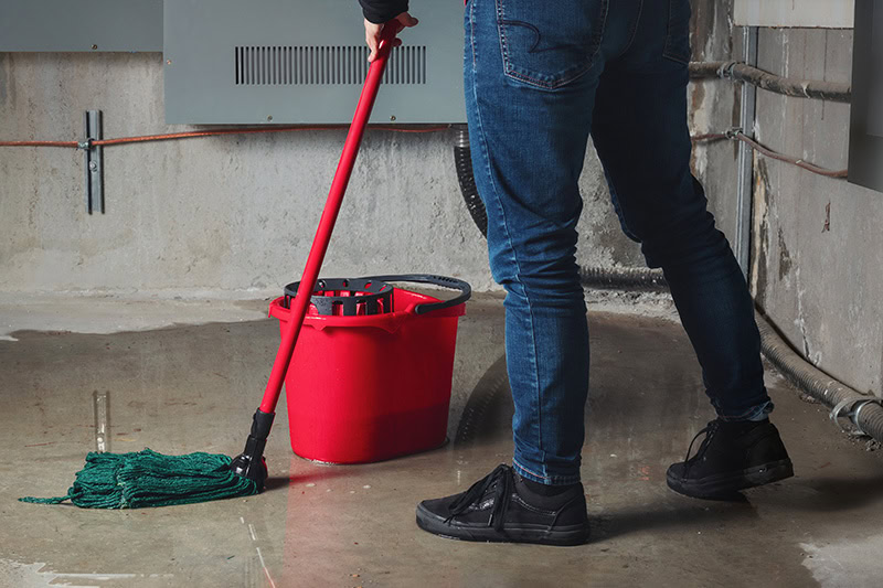 What to Do When Your Basement Floods in Pierce County