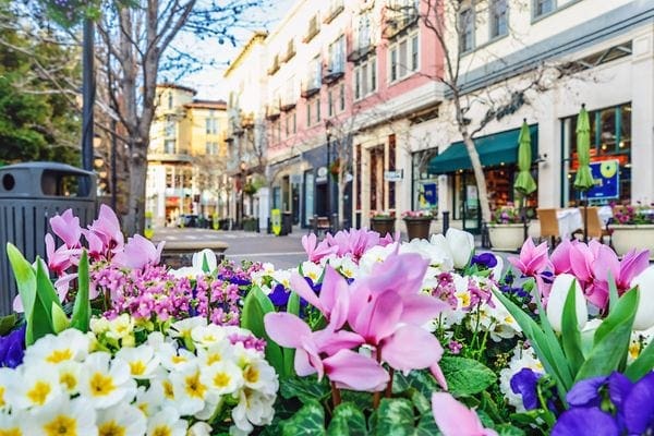 Image of a town with flowers. Why Choose Zendher Products?