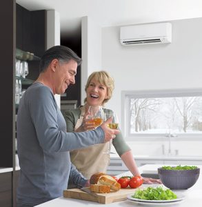 ductless inverter technology.