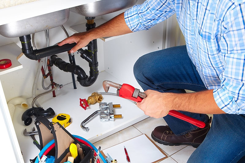 5 Plumbing Tips to Prepare Your Puyallup Home for the Holidays. Photo of a plumber performing maintenance on pipes under a kitchen or bathroom sink.